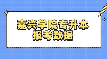 嘉興學院專升本報考數據 (1).jpg