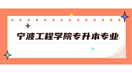寧波工程學院專升本專業
